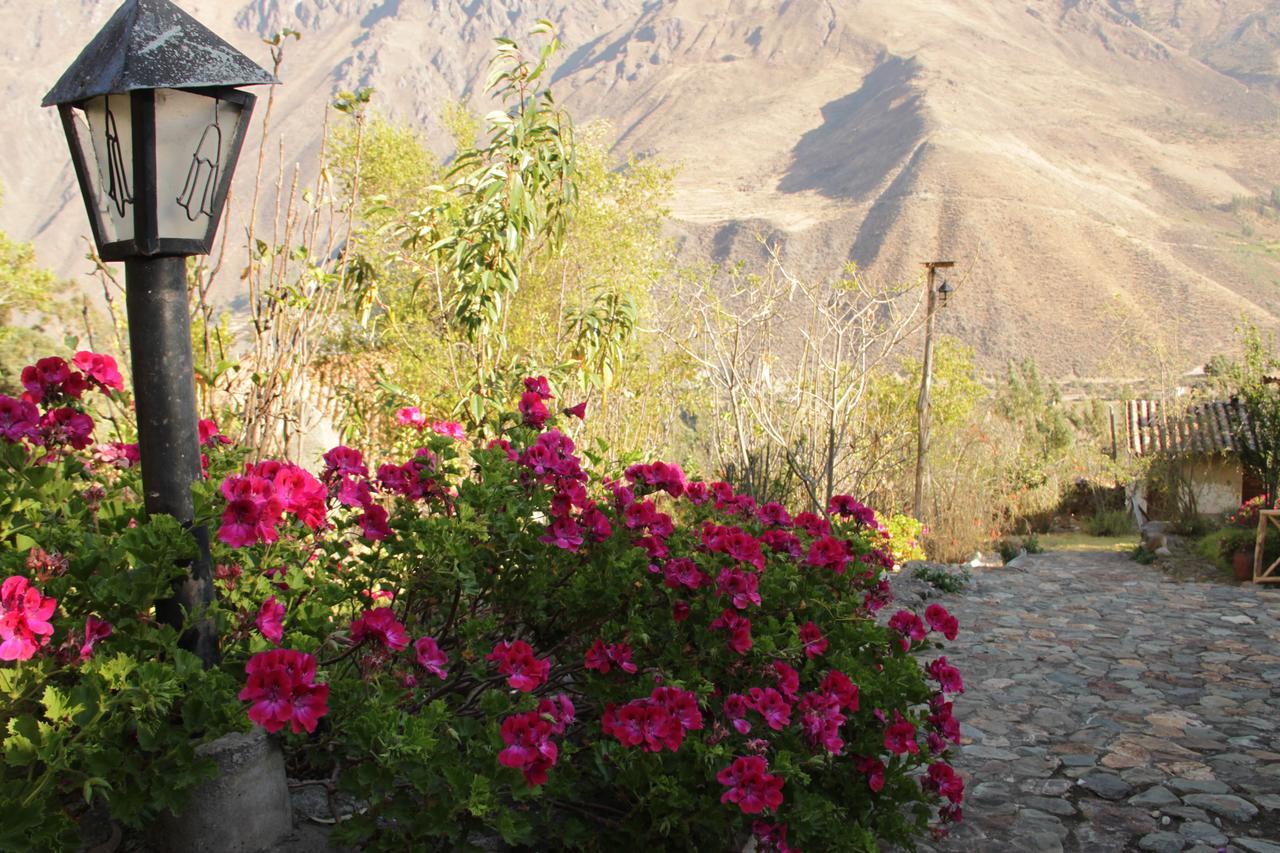 Ollantaytambo Village Extérieur photo