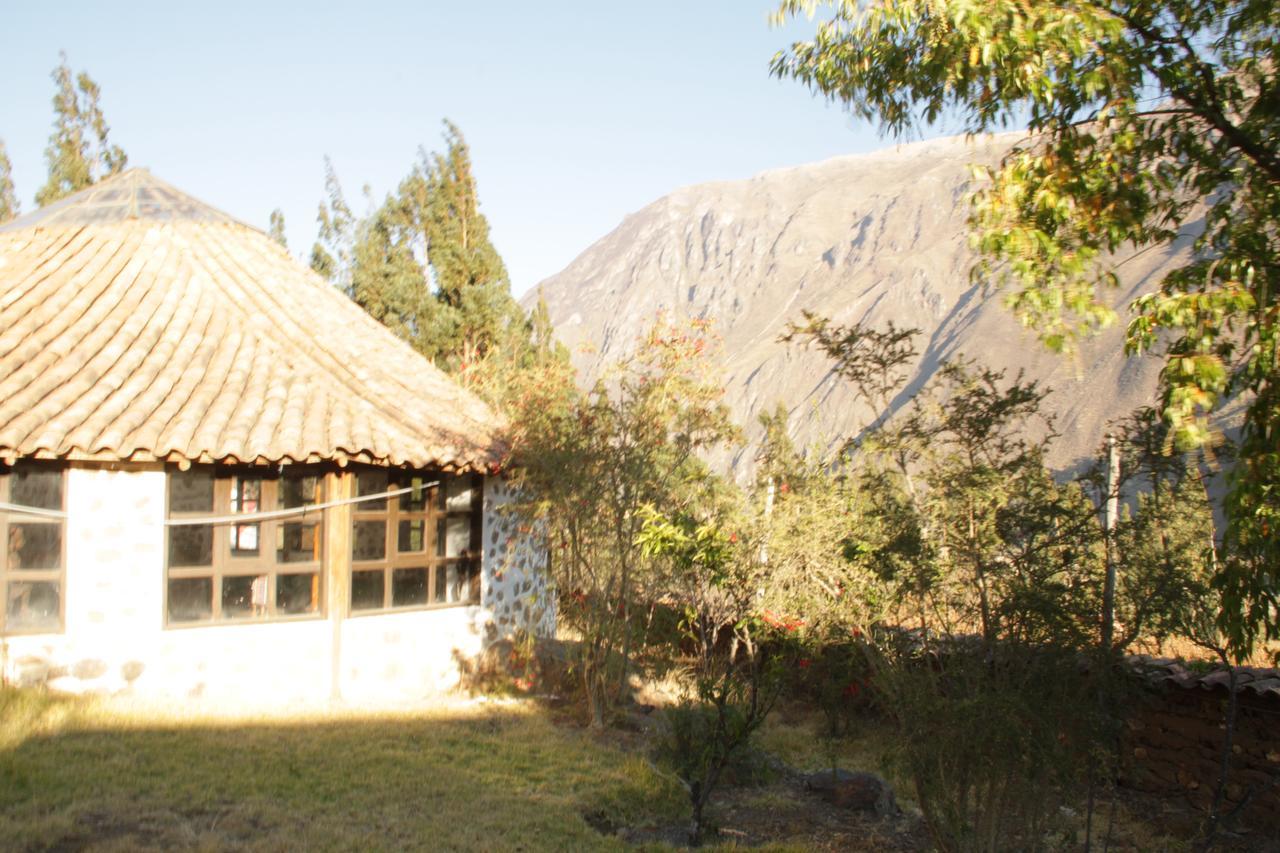 Ollantaytambo Village Extérieur photo